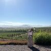 adiachang